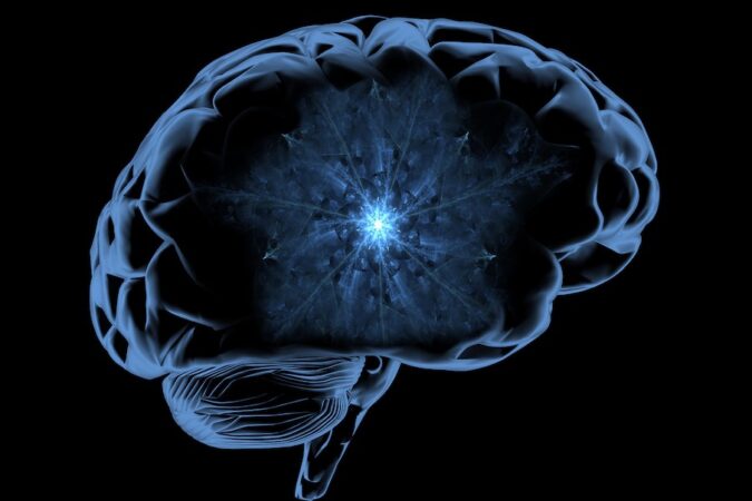 cerebro cuantico