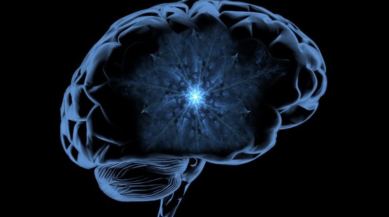 cerebro cuantico