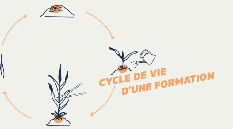 yak-article-cycle-d-une-formation-01-1080x675